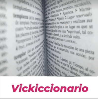 EL PORQUÉ DEL&nbsp;VICKICCIONARIO
