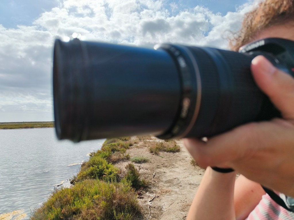 comienza a ver a través de las neuronas&nbsp;espejo